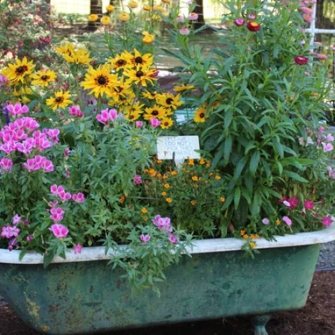 Stuck at home? Try making a creative container. (photo by Heidi Aufdermaur)