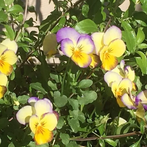 photo by Michelle Davis