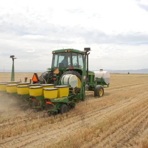 No-till seeding directly into prior crop residue, Five Points, CA, April 2007