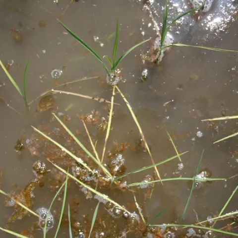 56E3771F-D6DE-4E78-A38C-C24E94BBCB8E