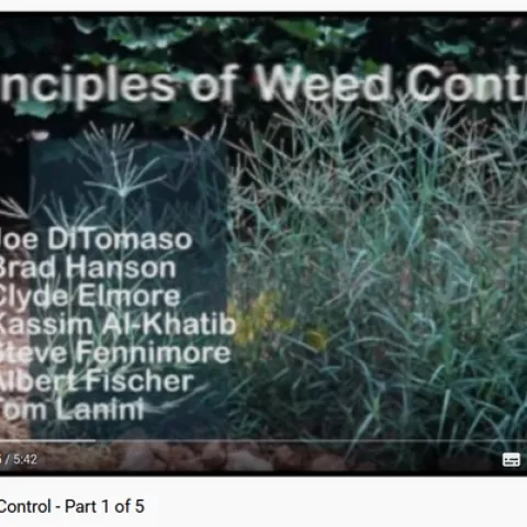 Principles of weed control training videos