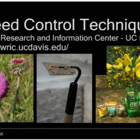 Weed Control Techniques training videos