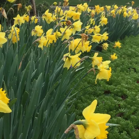 photos by Dave Bellamy