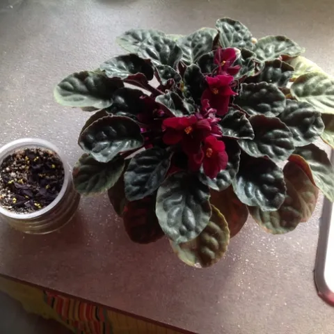 photos by Jenni Dodini