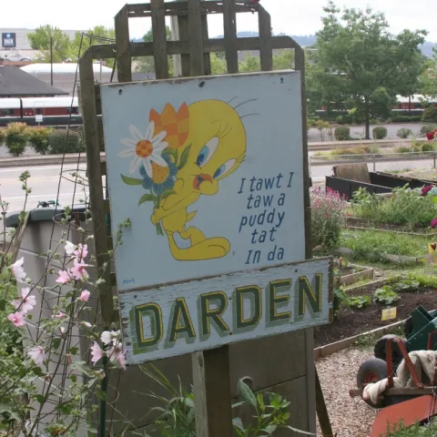 photos by Paula Pashby