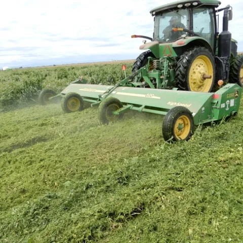 Cover crop shredding at Teixeira & Sons in Firebaugh on April 4, 2020.