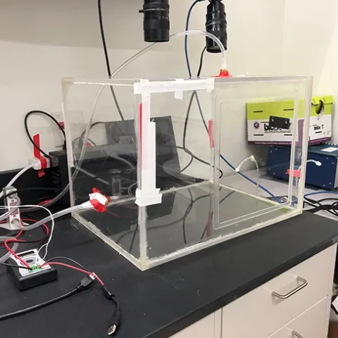 In the works: The beginning of a device that Annaliese Wargin designed and built for her research on bumble bees. (Photo by Annaliese Wargin)