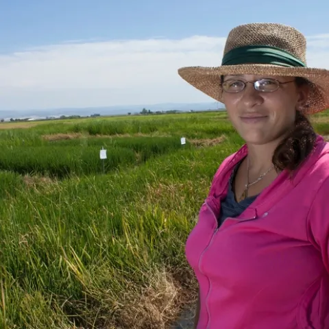 Whitney Brim-DeForest, UC Cooperative Extension Rice Advisor
