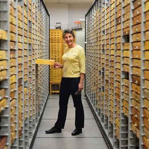 Lynn Kimsey directs the Bohart Museum of Entomology at UC Davis. (Photo by Kathy Keatley Garvey)