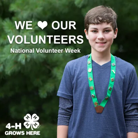 Natl Volunteer Week 800x800 5