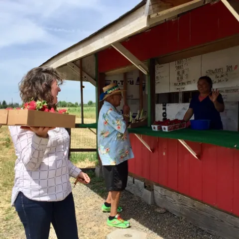 Farm stands, like this strawberry stand in Sacramento County, must now practice social distancing and heightened disinfecting procedures.