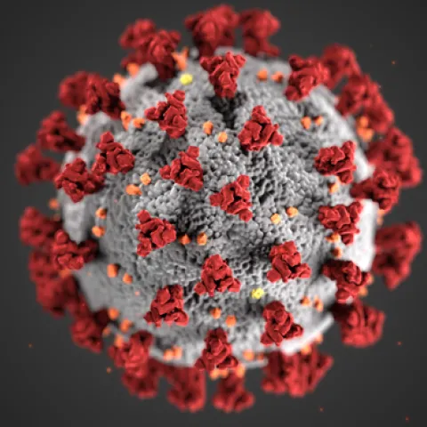 This is a illustration of the virus that causes COVID-19. A UC Davis-based COVID-19 public awareness webinar is set from 1:30 to 4 p.m., on Thursday, April 23, on YouTube Live at covidactionplan.com.