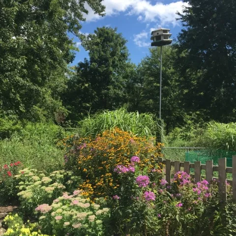 Spring flowers (Photo by teresa villalobos on Unsplash)