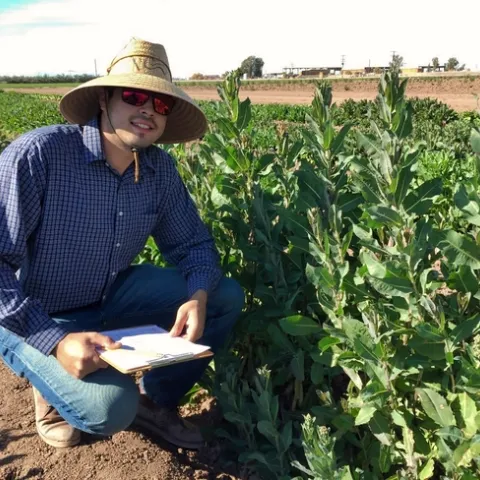 Staff Research Associate, Juan Buenrostro taking field data on lettuce trial lead by Dr. Richard Michelmore from UC Davis.