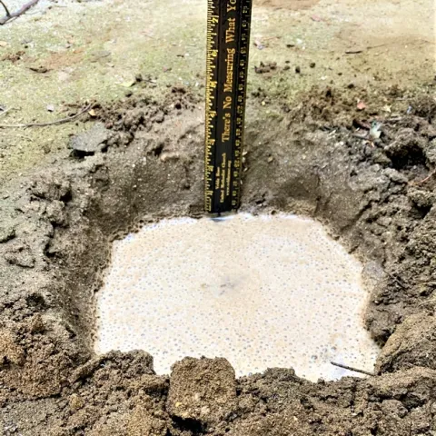 o a quick drainage test before planting a tree