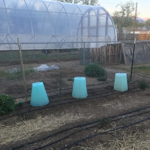 Wall-O-Waters in action