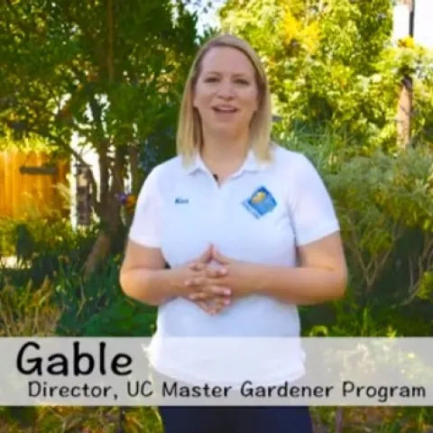 Missy Gable talked with Fast Company about how to grow a vegetable garden.