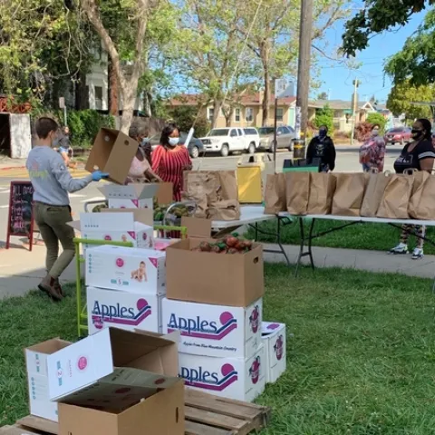 CalFresh Healthy Living, UC staff gives away tomato and basil seedlings to Oakland parents picking up food for their children at Sankofa Academy. The plants were donated by UC Master Gardener Program in Contra Costa County.