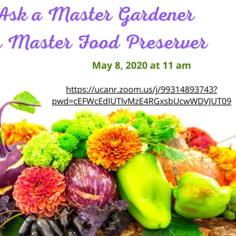 Ask a Master Gardener or Master Food Preserver