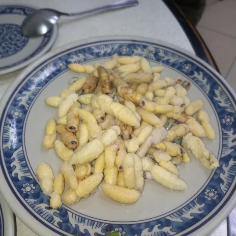 A blue plate special: larvae of the Asian giant hornet. This image is of food served in a restaurant in eastern Taiwan. (Photo by Matan Shelomi)