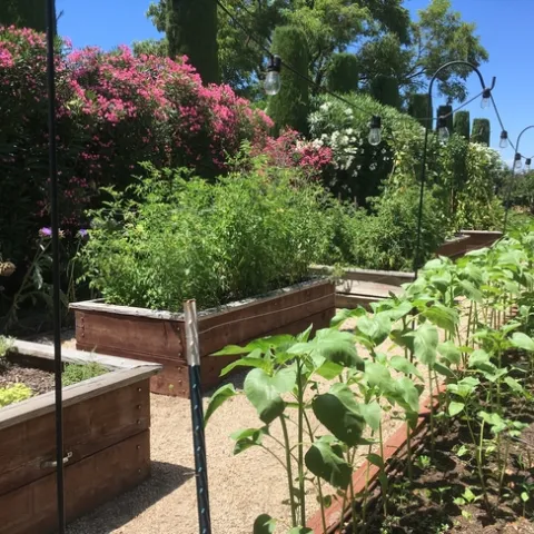 photos by Michelle Davis