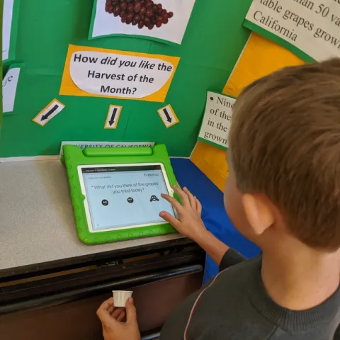 A student at Pinewood Elementary in Pollock Pines votes
on how they liked donated grapes.