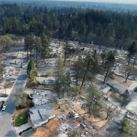 Drone footage of the Camp Fire aftermath shows homes destroyed while green trees are unscathed.