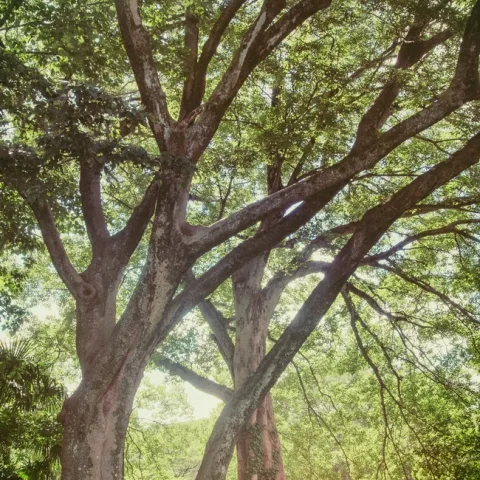 Credit: Al Soot, Unsplash