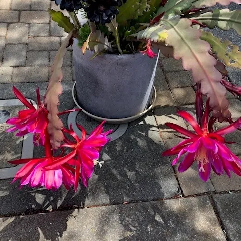 photos by Kathy Craig