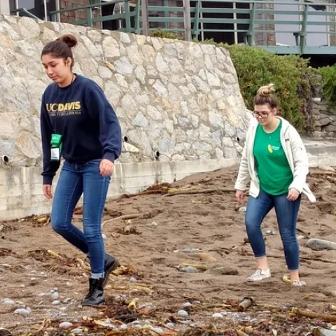 4-Hers take a walk along the shore during a mindfulness retreat.