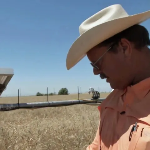 Imperial County farmer Ronnie Leimgruber said, “Being awarded this grant will allow me to apply more compost than I normally would.” Photo courtesy of CDFA