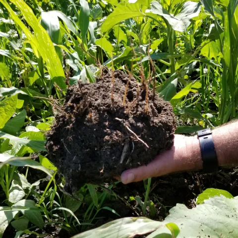 Frank Fernandes and soil structure. Photo by Shulamit Shroder.