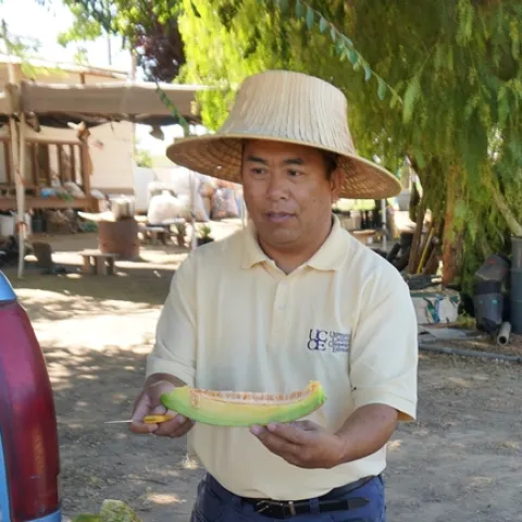 Michael Yang is a longtime agricultural assistant for UC Cooperative Extension.