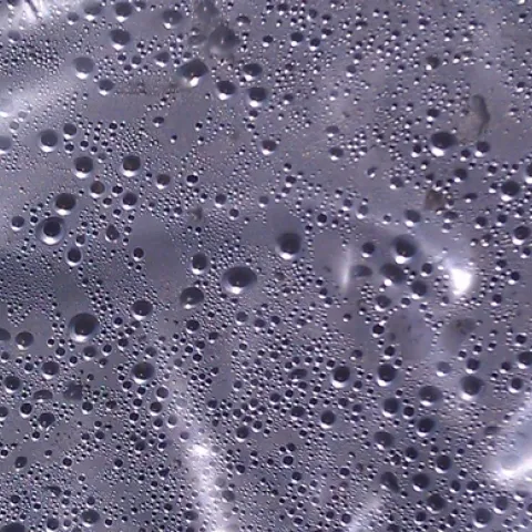 Condensation under the plastic, J. Alosi