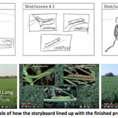 Good videos start with good planning – and good planning involves a good storyboard.
