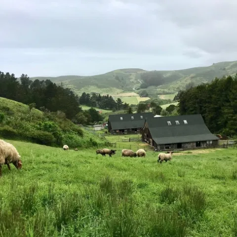 UC Elkus Ranch is an environmental education center for Bay Area children.