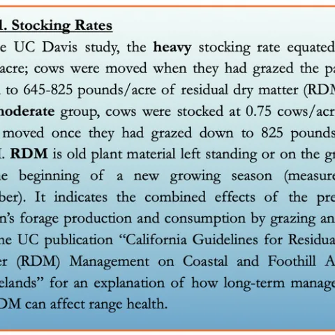 Screen Shot 2020-06-25 at 10.48.00 PM