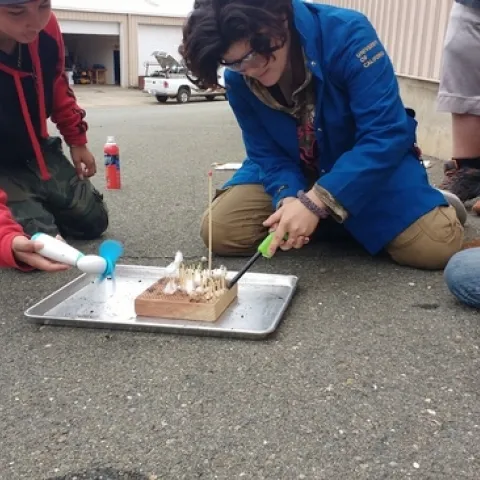 Students from the Say Yuba Environmental Science (YES) Charter Academy modeled wildfire in oak woodlands at a workshop held before the coronavirus pandemic.