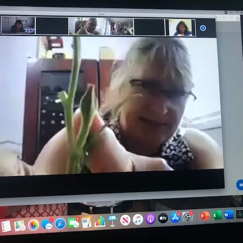 UC Master Gardener volunteer of San Diego County, Kriss Blumeyer, hosting a flower lab Zoom training. Photo: Scott Parker