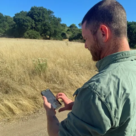 Ph.D. student Mike Johnson uses Evalutree to assess the health and economic value of oak woodlands.
