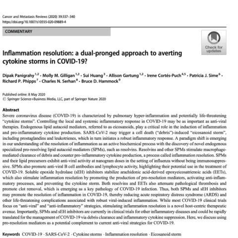 Screen Shot 2020-07-10 at 11.20.27 AM