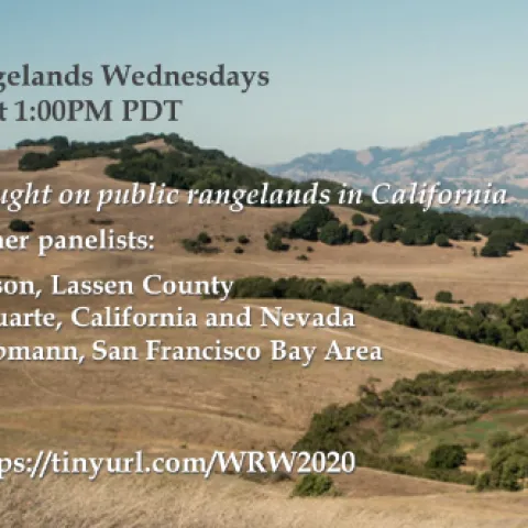 Working Rangelands Rancher Panel