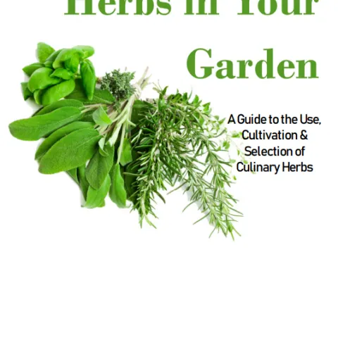 Herbs in your garden cover