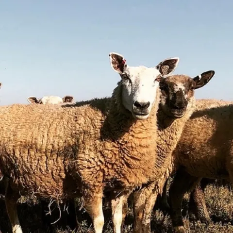 8AFD7704-B719-48CB-AC0E-E0C90882D2AE