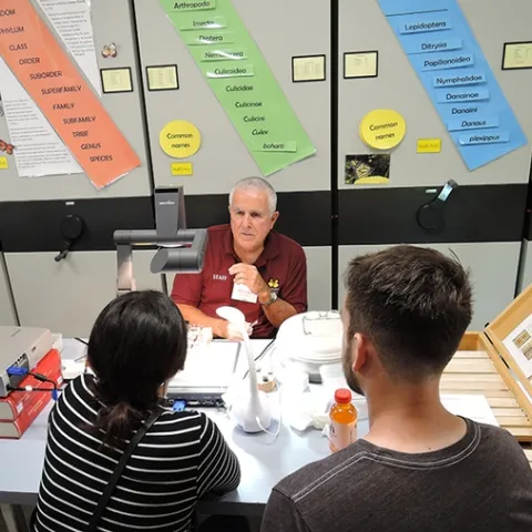 Entomologist Jeff Smith, curator of the Bohart Museum of Entomology's Lepidoptera collection, discusses how to pin and spread specimens. (Photo by Kathy Keatley Garvey)