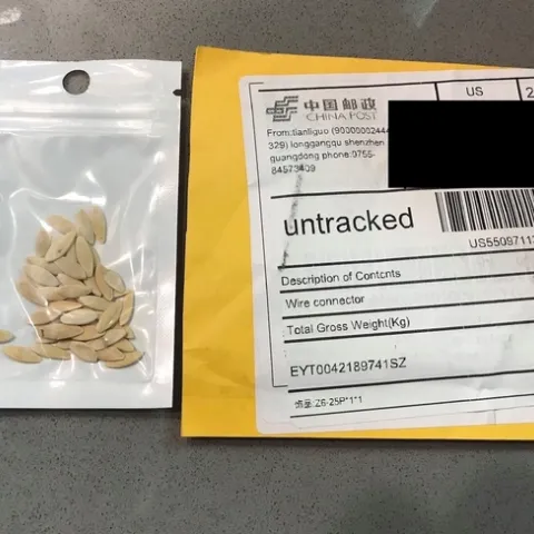 Unlabeled seeds from unsolicited packages.