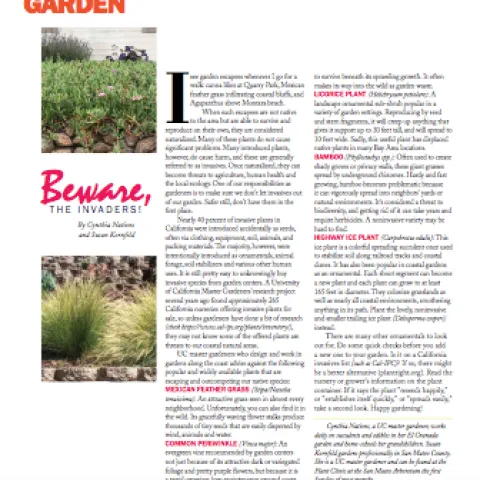 ss july2020 nations kornfeld