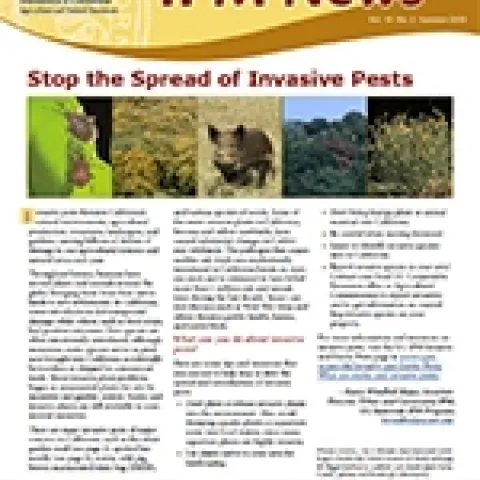 Summer 2020 Retail Newsletter