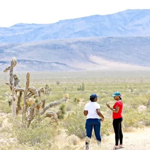 Family units can visit nature together during the coronavirus pandemic.