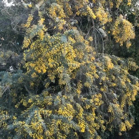 photos by Deborah Gallagher